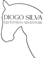 logo diogo silva removebg preview