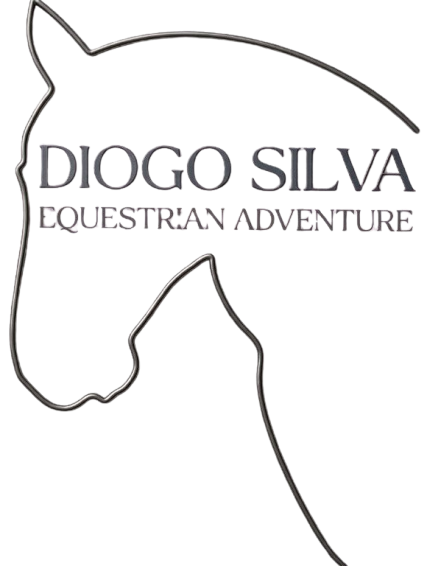 logo diogo silva removebg preview